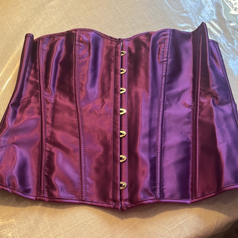 NWOT Purple XL Corset